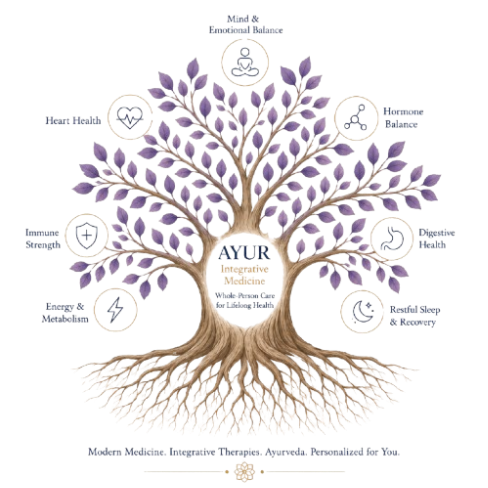 Ayur Integrative Medicine whole-person care model, mind, heart, immune, metabolic, hormone, digestive, and sleep health